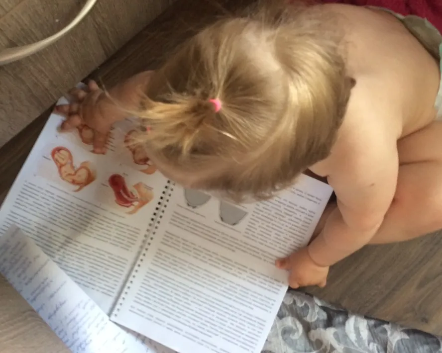 Read more about the article Отзывы о курсах